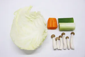 ワンタンの調理方法